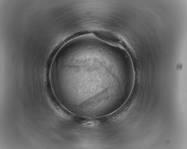 X0000090980447200708091501