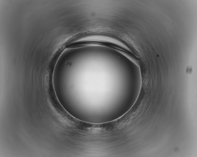 X0000090980448200708091501