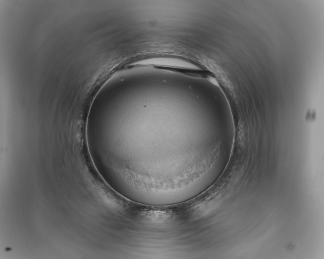 X0000090980449200708091501
