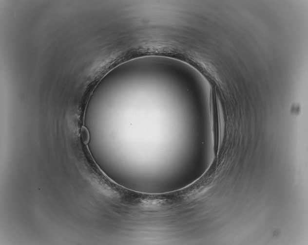 X0000090980450200708091501