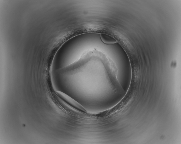 X0000090980451200708091501