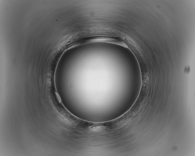 X0000090980452200708091501