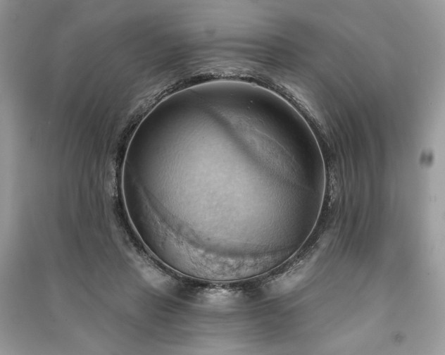 X0000090980453200708091501
