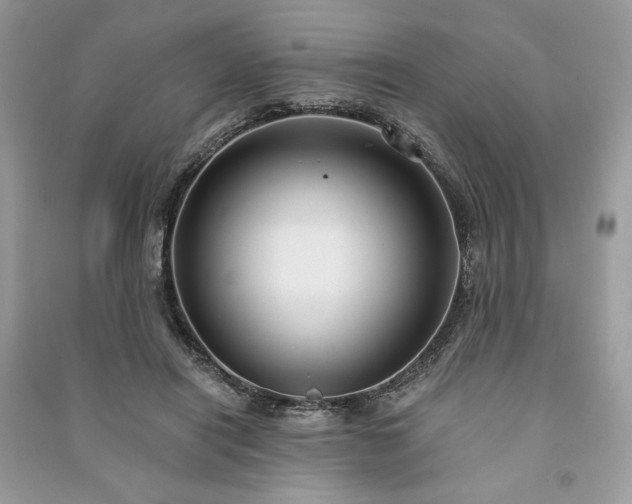 X0000090980454200708091501