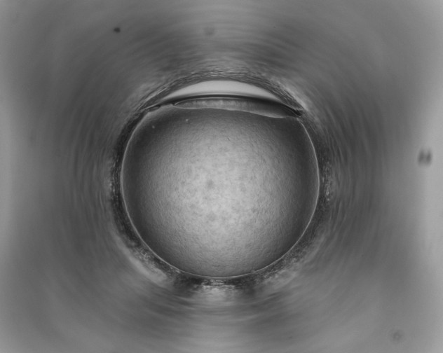 X0000090980455200708091501