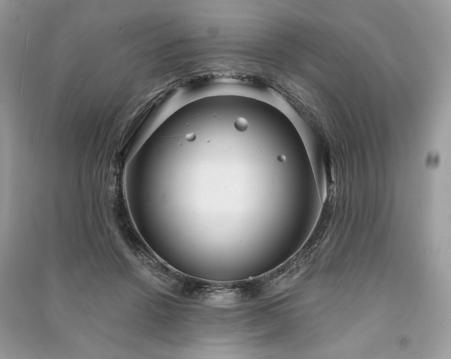 X0000090980456200708091501