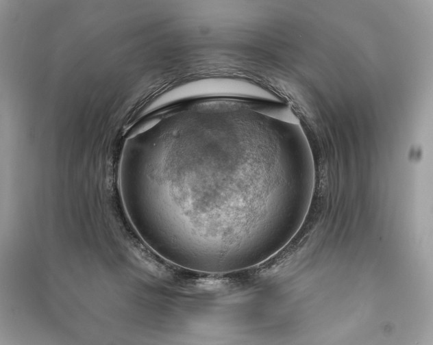X0000090980457200708091501