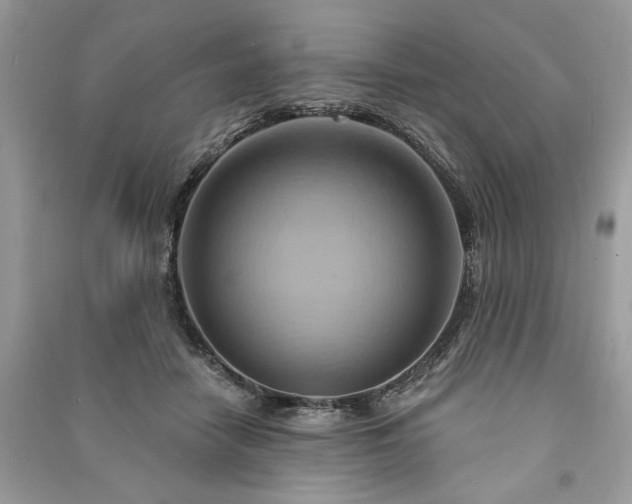X0000090980458200708091501