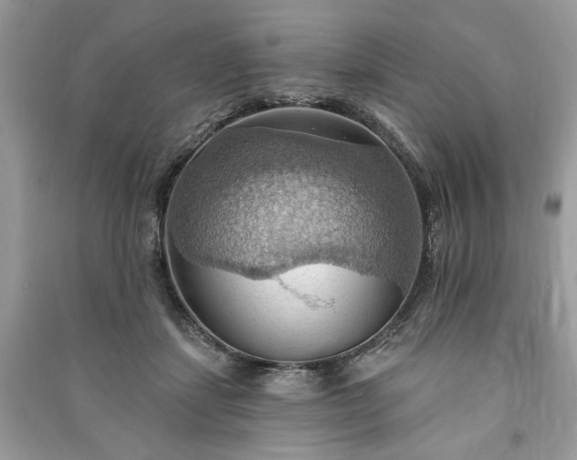 X0000090980459200708091501