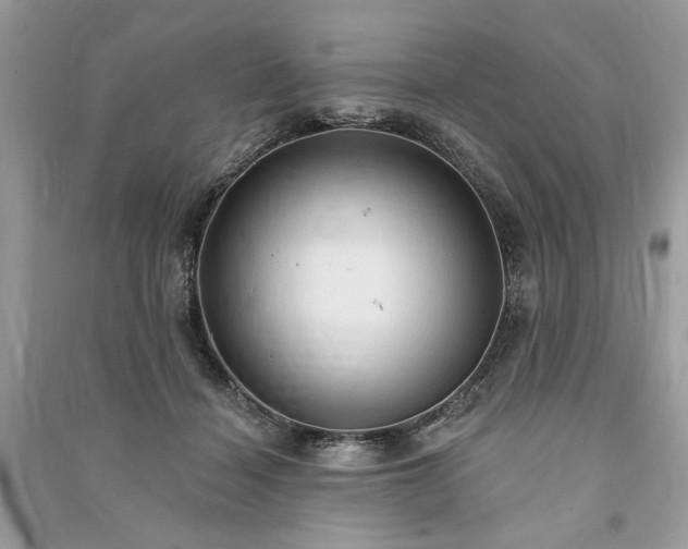 X0000090980460200708091501