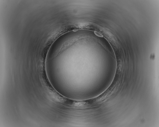 X0000090980461200708091501