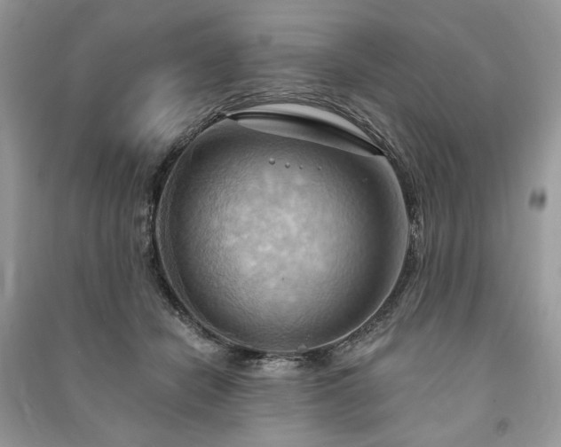 X0000090980462200708091501