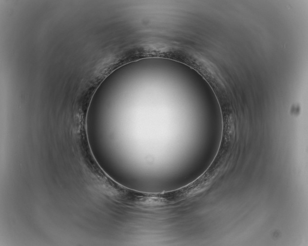 X0000090980463200708091501