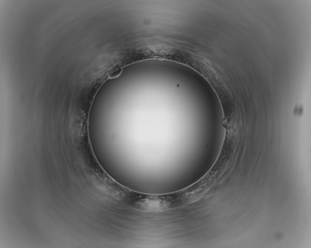 X0000090980464200708091501