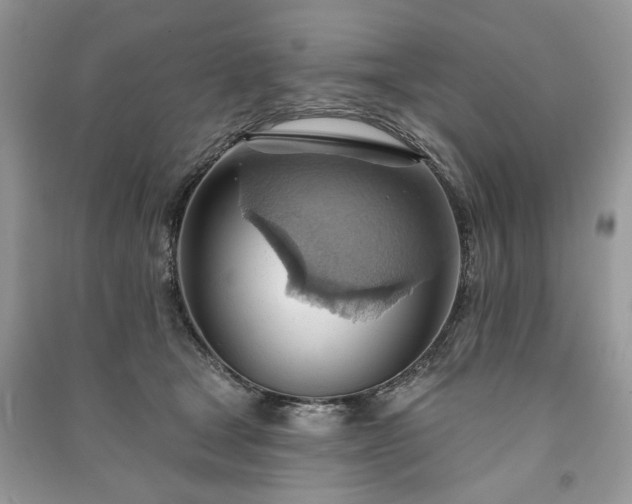 X0000090980465200708091501