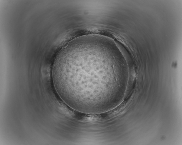 X0000090980466200708091501