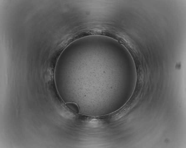X0000090980467200708091501