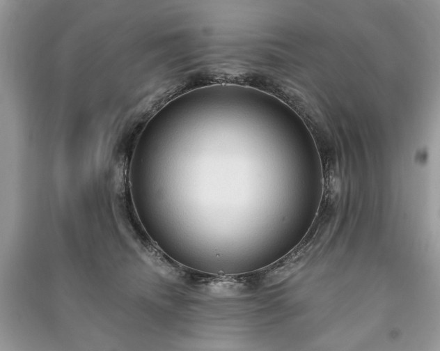 X0000090980468200708091501