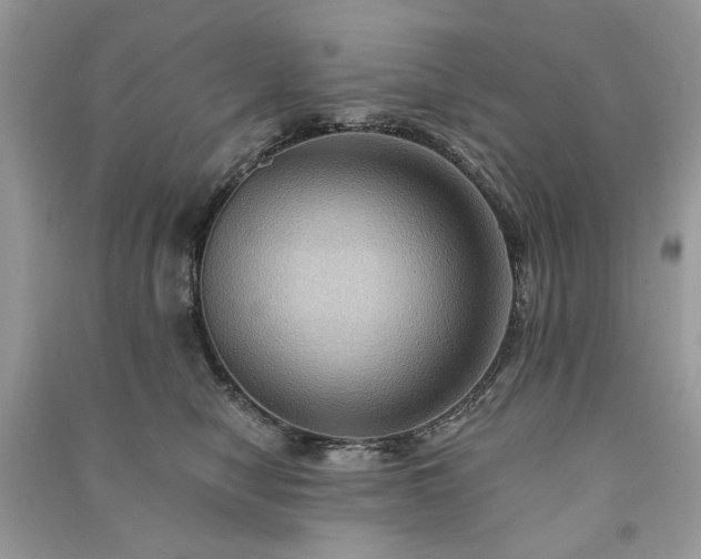 X0000090980470200708091501