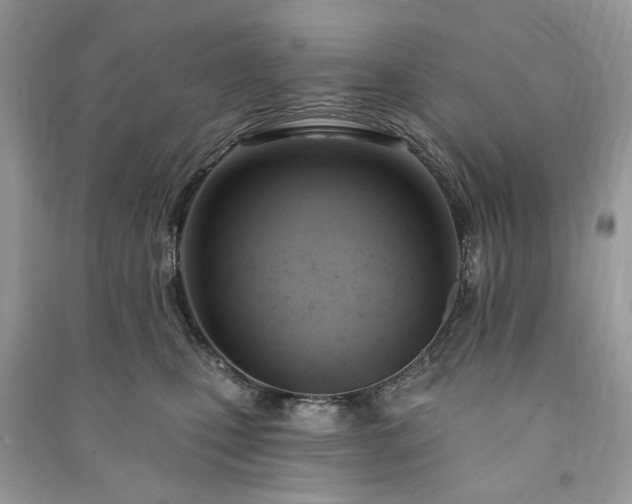 X0000090980471200708091501