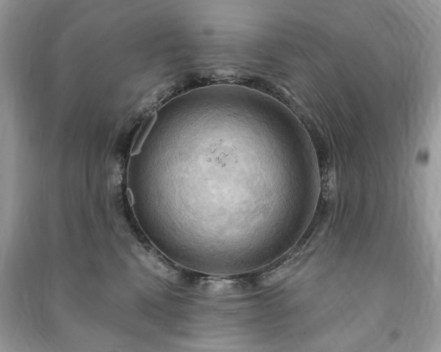 X0000090980472200708091501