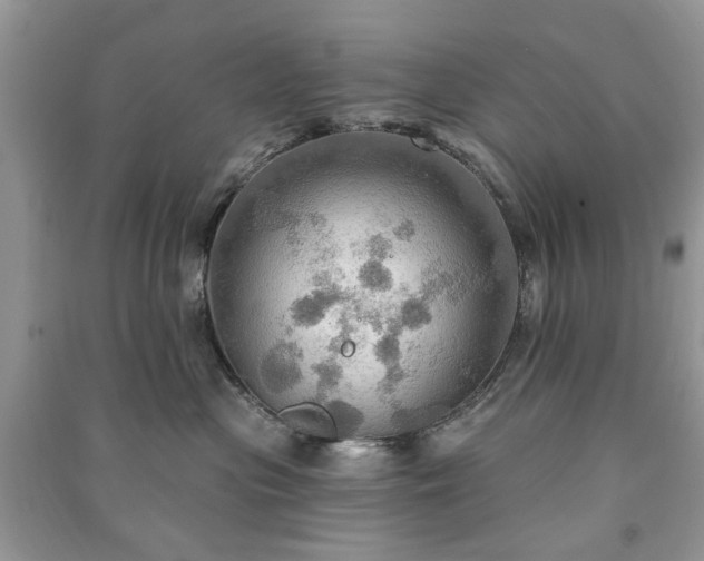 X0000090980477200708091501