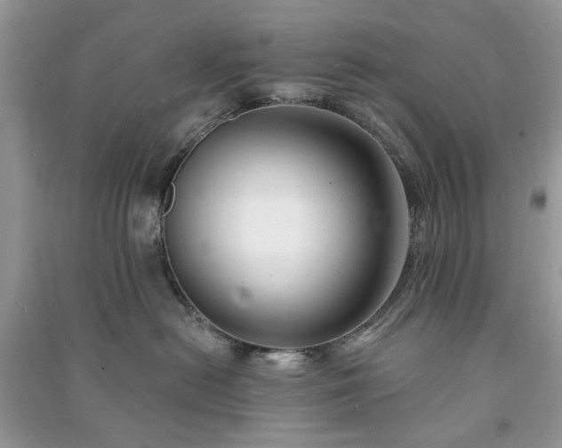 X0000090980478200708091501