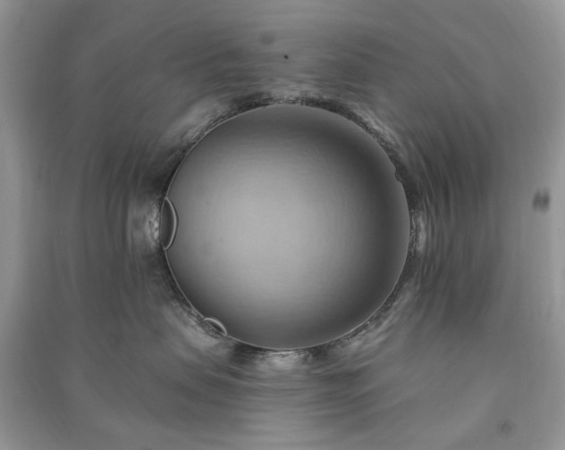X0000090980479200708091501