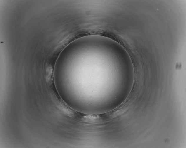 X0000090980480200708091501