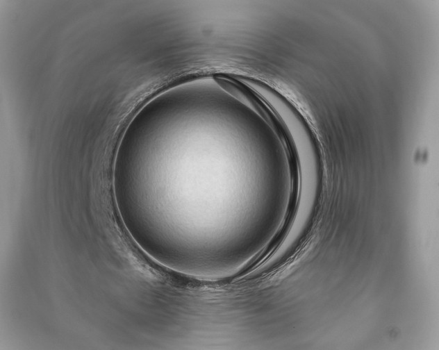 X0000090980481200708091500
