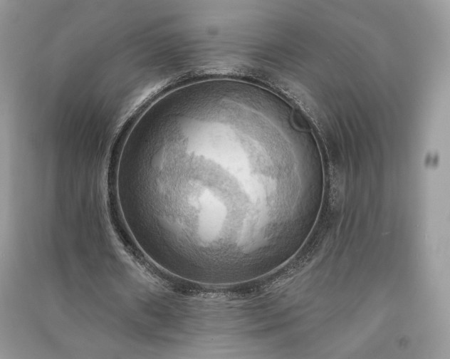 X0000090980482200708091500