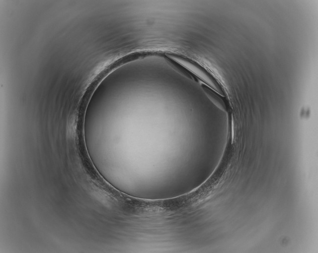X0000090980483200708091500