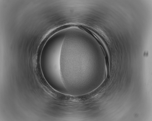 X0000090980484200708091500