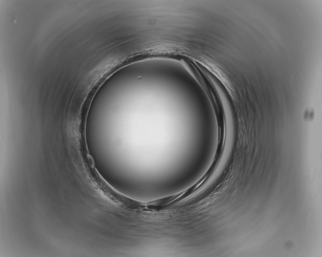 X0000090980485200708091500
