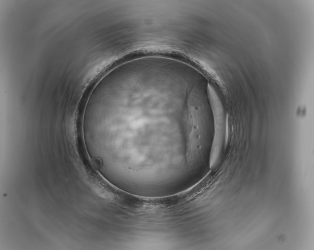 X0000090980487200708091500