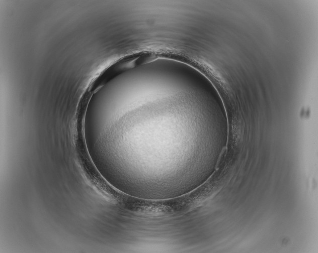 X0000090980488200708091500