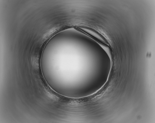 X0000090980489200708091500
