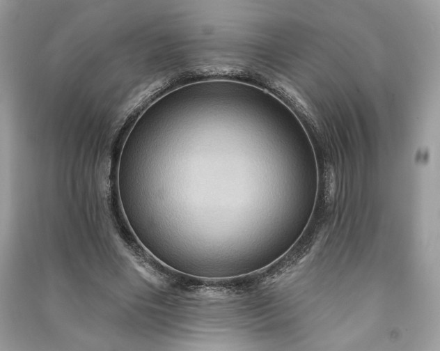 X0000090980490200708091500