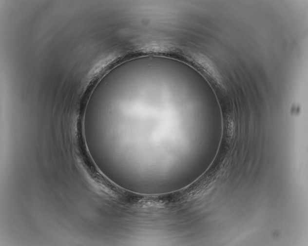 X0000090980491200708091500