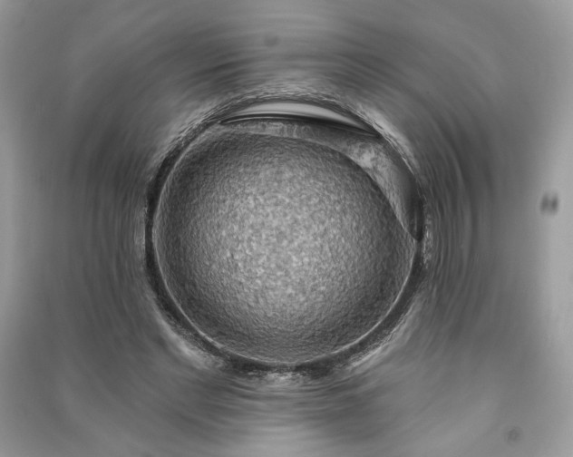 X0000090980493200708091500