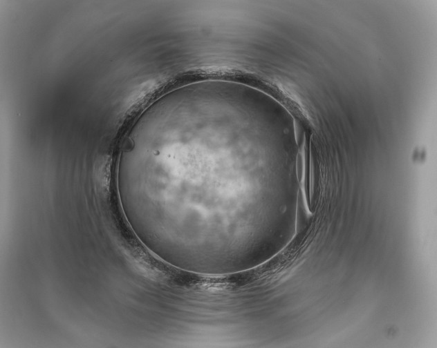 X0000090980495200708091500