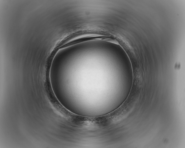 X0000090980496200708091500