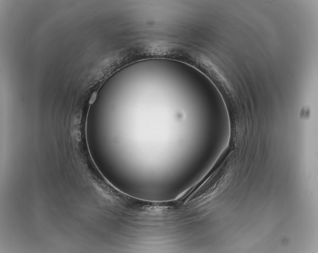 X0000090980497200708091500