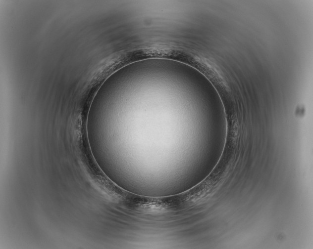 X0000090980498200708091500