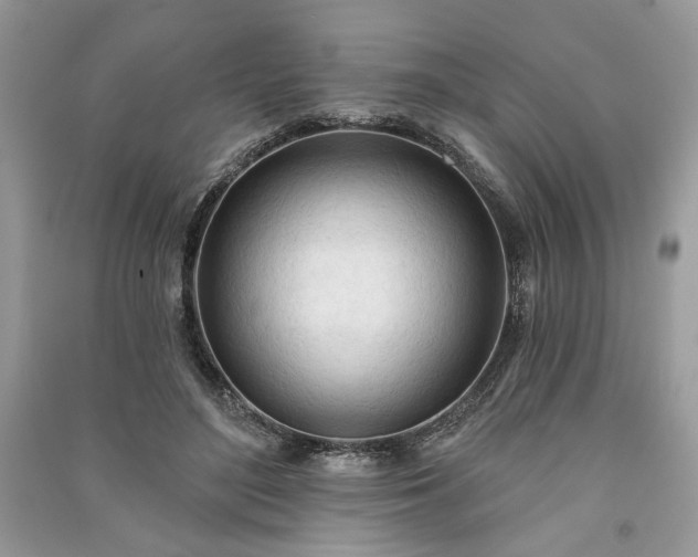 X0000090980500200708091500