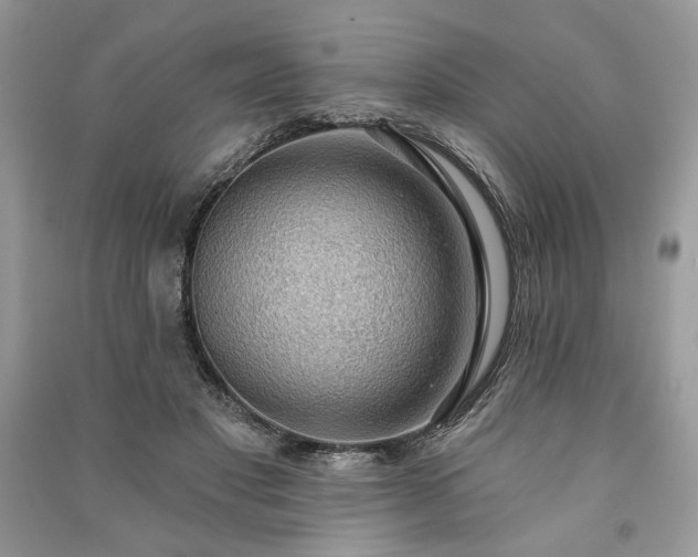 X0000090980501200708091500