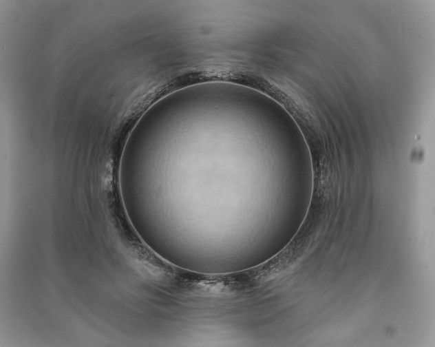 X0000090980502200708091500
