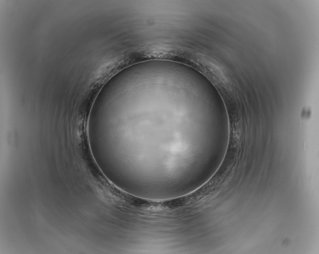 X0000090980503200708091500