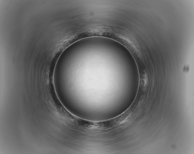 X0000090980504200708091500