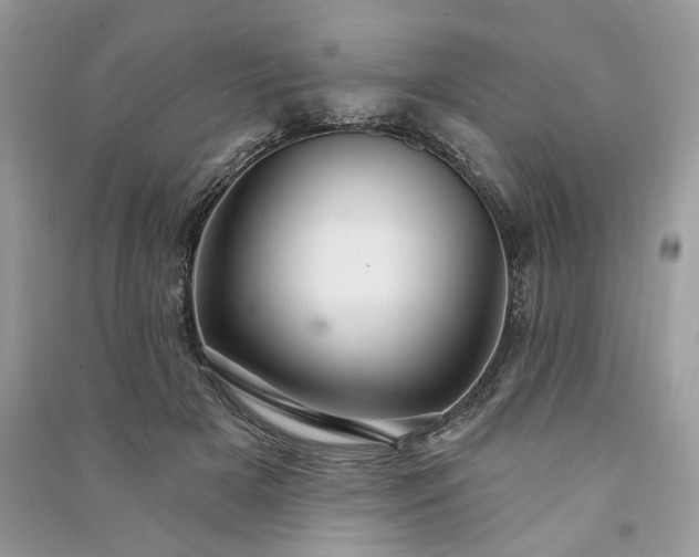 X0000090980505200708091500